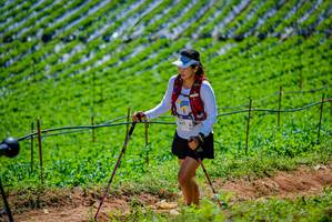 BIB: 
                            <button type="button" onclick="openModal(19164549)" class="btn btn-primary btn-sm float-right btn-popup" data-toggle="modal" data-target=".modal-high-quality">
                        <i class="fas fa-shopping-cart"></i> Add to Cart
                    </button>
                                            <button type="button" onclick="isThisMe(19164549, true)" class="btn btn-success btn-sm float-right btn-popup btn-isme hidden" data-toggle="tooltip" data-placement="bottom" title="นี่คือรูปของคุณใช่ไหม คลิกที่นี่เพื่อเอาเข้าอัลบั้ม">
                        <i class="fas fa-plus"></i> Add to album
                    </button>
                    <button type="button" onclick="isThisMe(19164549, false)" class="btn btn-warning btn-sm float-right btn-popup btn-isnotme hidden">
                        <i class="fas fa-ban"></i> Remove from album
                    </button>